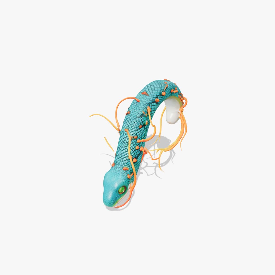 Vibrant Oceanic Creature model pack